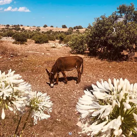 Dimore Del Valentino בית חווה *