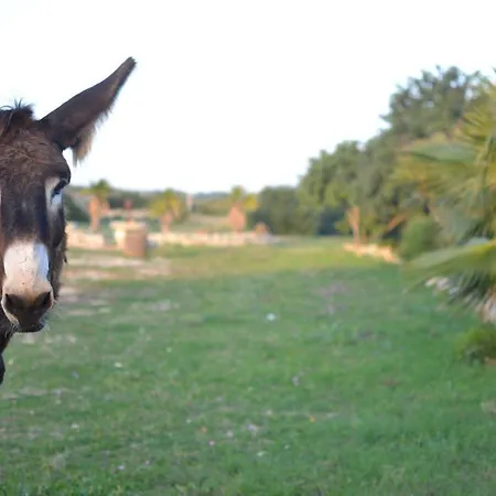 בית חווה Dimore Del Valentino *