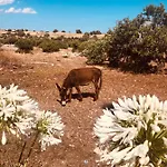 Dimore Del Valentino Alojamento de Turismo Rural *
