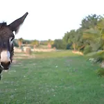 Alojamento de Turismo Rural Dimore Del Valentino *