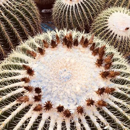 Dimore Del Valentino Sampieri