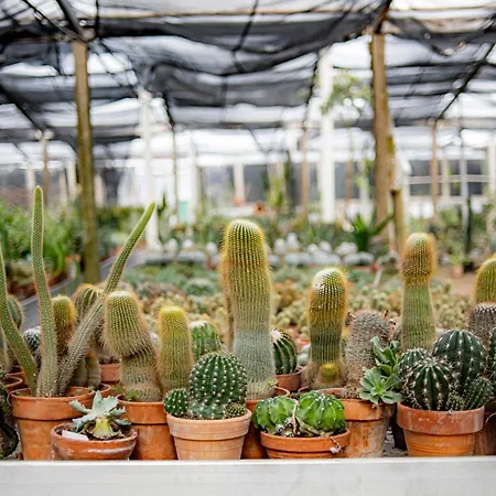 Alloggio per agriturismo Dimore Del Valentino *