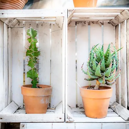 Dimore Del Valentino Alloggio per agriturismo Sampieri