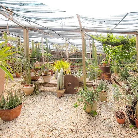 Dimore Del Valentino Farm stay