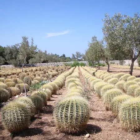 Dimore Del Valentino סמפיירי