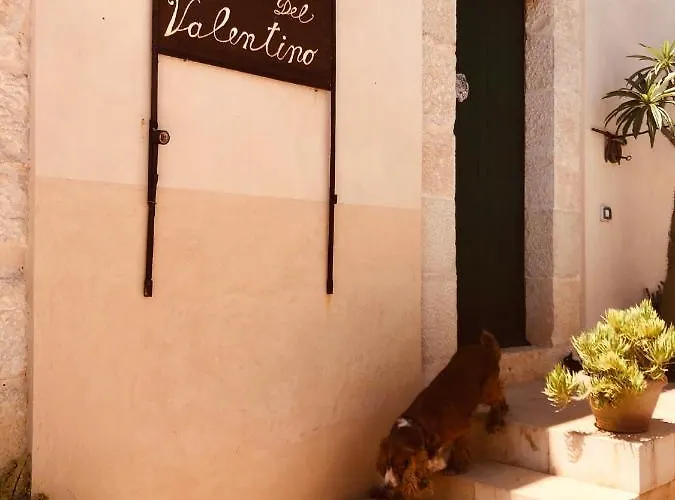 Dimore Del Valentino 农家乐 *