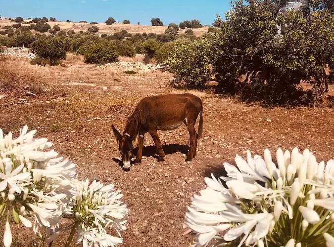 Dimore Del Valentino בית חווה *
